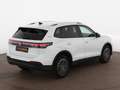 Volkswagen Tiguan 2.0 TDI Goal Aut LED AHK RADAR 360-CAM NAV Weiß - thumbnail 8