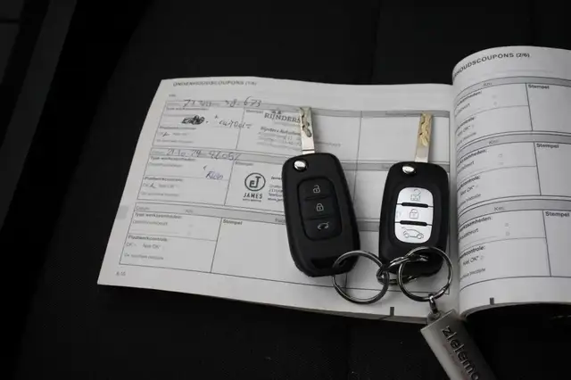 Renault Clio view 4