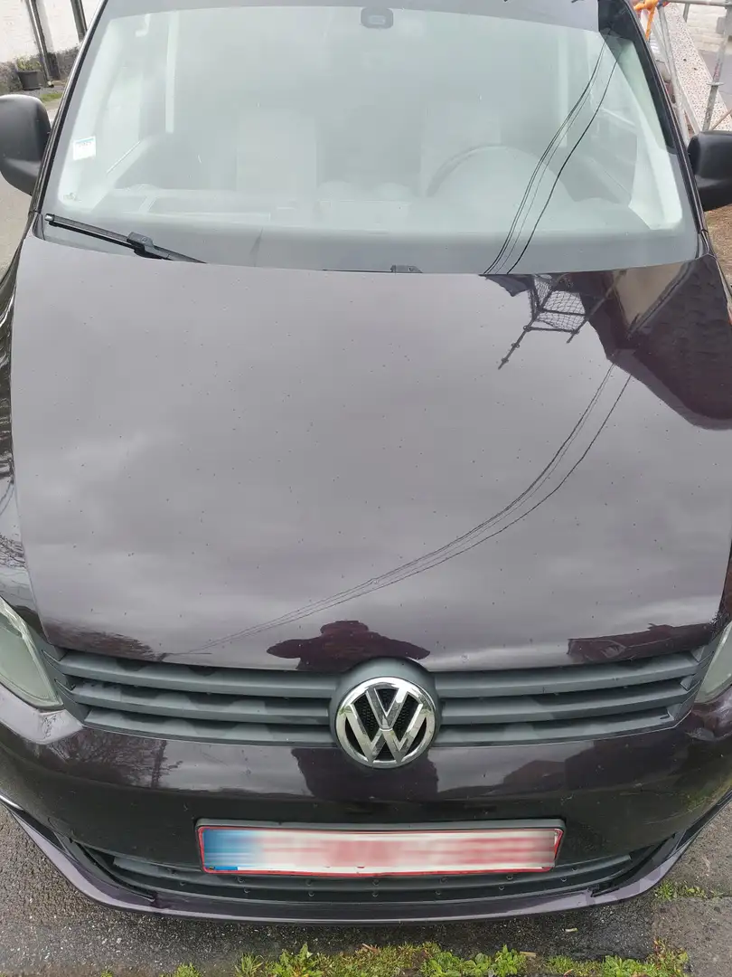 Volkswagen Caddy Caddy Life 1.6 CR TDi Highline BMT DSG Mauve - 2