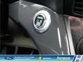 Ford Kuga Titanium Navi El. Heckklappe Mehrzonenklima Notbre Weiß - thumbnail 18