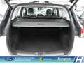 Ford Kuga Titanium Navi El. Heckklappe Mehrzonenklima Notbre Weiß - thumbnail 29