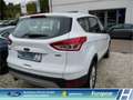 Ford Kuga Titanium Navi El. Heckklappe Mehrzonenklima Notbre Weiß - thumbnail 6
