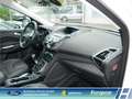Ford Kuga Titanium Navi El. Heckklappe Mehrzonenklima Notbre Weiß - thumbnail 24