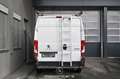 Peugeot Boxer 335 2.2 BlueHDi FAP Pro L2H2 3,5t Pickerl NEU Blanc - thumbnail 4