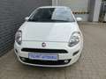 Fiat Punto MYSTYLE Klima+1.Hand Weiß - thumbnail 13