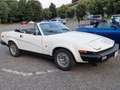 Triumph TR7 Convertibile Weiß - thumbnail 11