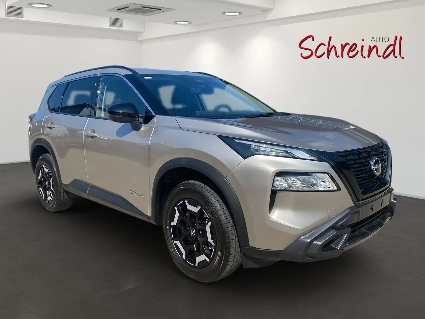 Nissan X-Trail N-Trek e-POWER (4x4) e-4ORCE Automatik Stříbrná - 2