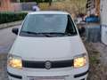 Fiat Panda 1,2 Active Weiß - thumbnail 3