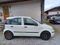 Fiat Panda 1,2 Active Weiß - thumbnail 1