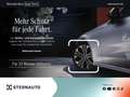 Mercedes-Benz EQE 53 EQE 53 AMG 4M+ Pano-Dach/Distronic/Kamera/Memory Grau - thumbnail 36