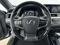 Lexus ES 300 300h Executive Line Limited | Panoramic View | Sto Gris - thumbnail 22