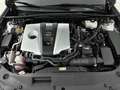 Lexus ES 300 300h Executive Line Limited | Panoramic View | Sto Gris - thumbnail 38