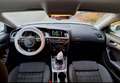 Audi A5 SB 2,0 TDI (Sommerfahrzeug) Weiß - thumbnail 13