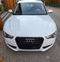 Audi A5 SB 2,0 TDI (Sommerfahrzeug) Weiß - thumbnail 2