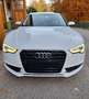 Audi A5 SB 2,0 TDI (Sommerfahrzeug) Weiß - thumbnail 16