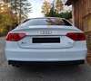 Audi A5 SB 2,0 TDI (Sommerfahrzeug) Weiß - thumbnail 5