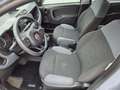 Fiat Panda Panda III 2016 1.2 Easy s Grigio - thumbnail 11