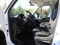 Fiat Ducato Maxi L5 Pritsche *Klima * Infotainment* Bianco - thumbnail 8