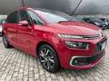 Citroen C4 Picasso C4 Picasso 1.2 puretech Shine CINGHIA NUOVA !!! Red - thumbnail 4