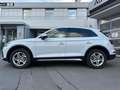 Audi Q5 45TFSI QUATTRO KAMERA VIRTUAL STANDHEIZUNG Blanc - thumbnail 4