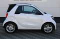 smart forTwo Cabrio EQ Comfort 18 kWh Carplay Cruise BTW !! Wit - thumbnail 6