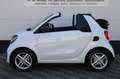 smart forTwo Cabrio EQ Comfort 18 kWh Carplay Cruise BTW !! Wit - thumbnail 7