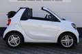 smart forTwo Cabrio EQ Comfort 18 kWh Carplay Cruise BTW !! Wit - thumbnail 4