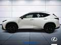 Lexus NX 200t 2.5 hybrid F-Sport 4wd e-cvt Blanco - thumbnail 9