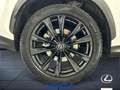 Lexus NX 200t 2.5 hybrid F-Sport 4wd e-cvt Blanco - thumbnail 12