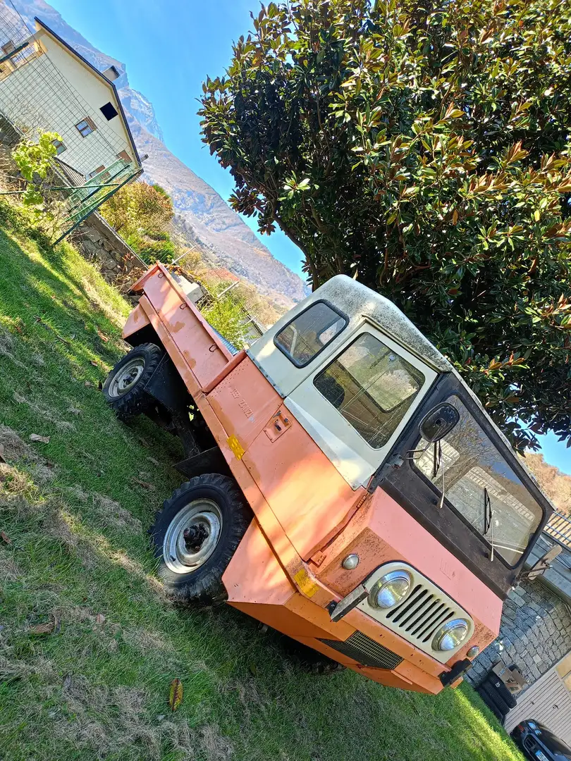 Jeep CJ-5 ZANZI SWISS - 1
