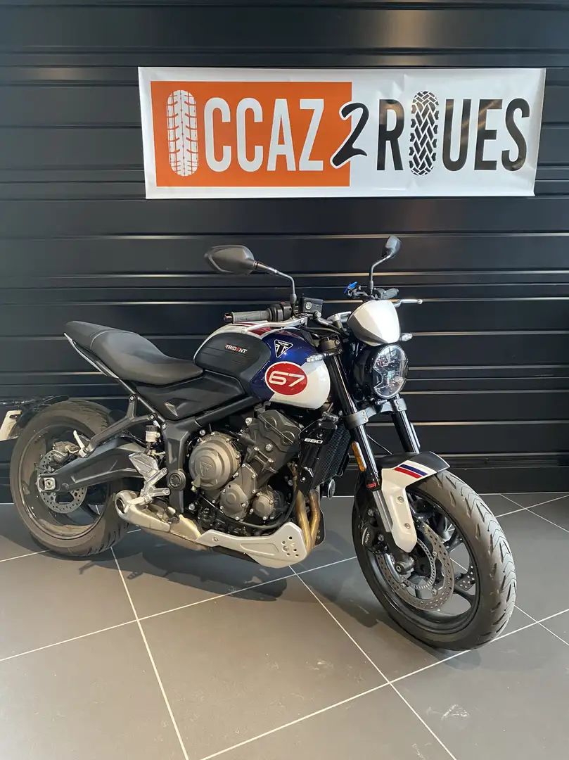 Triumph Trident 660 Blanc - 1