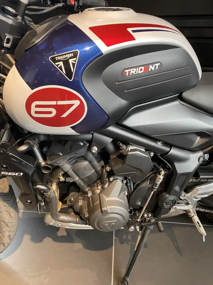 Triumph Trident 660 Blanc - 2