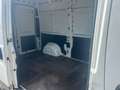 Citroen Jumper Blanc - thumbnail 7