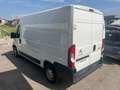 Citroen Jumper Blanc - thumbnail 5
