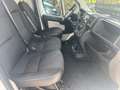 Citroen Jumper Blanc - thumbnail 18
