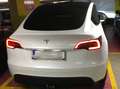 Tesla Model Y Model Y Long Range AWD 79kWh Weiß - thumbnail 2