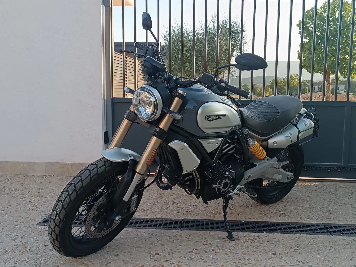 Ducati Scrambler 1100 Special Gris - 1