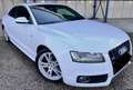 Audi A5 2.0L TDI / Pack S-line / Prêt à immatriculer Wit - thumbnail 5