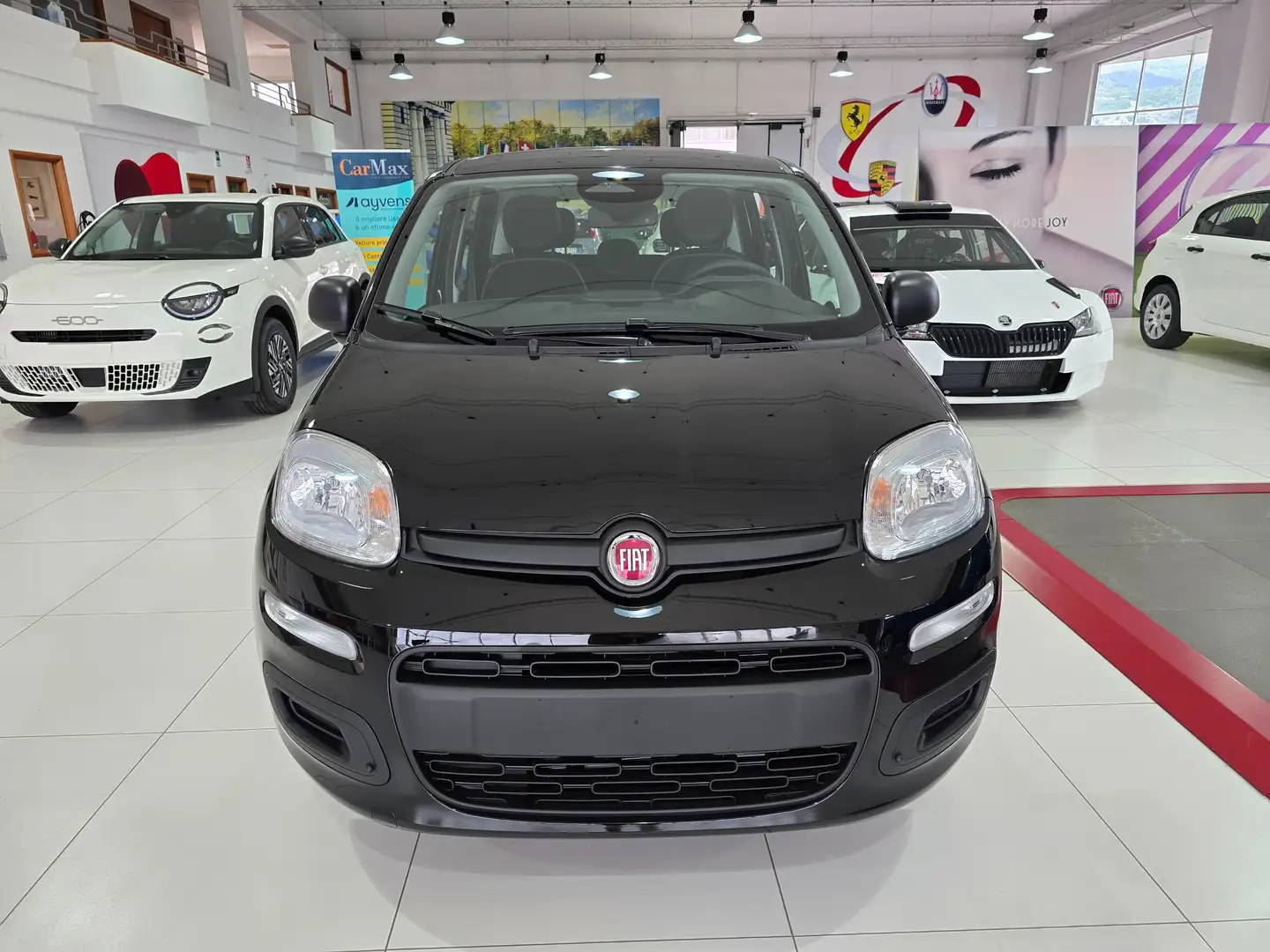 Fiat Panda MY25 1.0 70CV Hybrid Vernice+Pack City+5° Posto Nero - 2