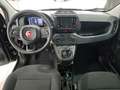Fiat Panda MY25 1.0 70CV Hybrid Vernice+Pack City+5° Posto Nero - thumbnail 12
