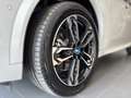 BMW iX2 xDrive30 U10 XE2 Wit - thumbnail 11