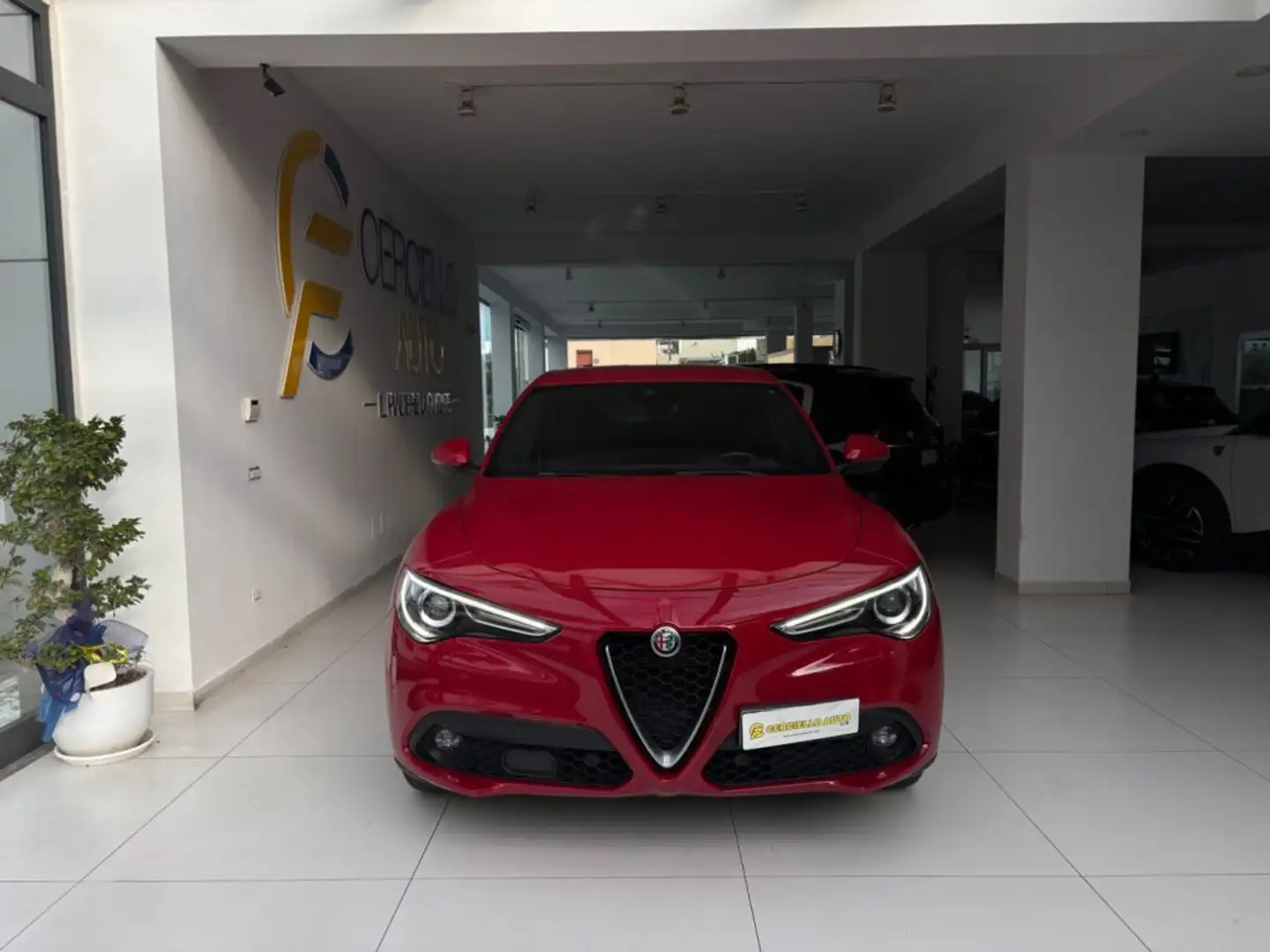 Alfa Romeo Stelvio 2.2 Turbodiesel 160 CV AT8 RWDSuperBusinessda€22 Rot - 1