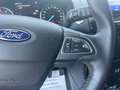 Ford EcoSport EcoSport 1.0 BENZINA 125 CV TITANIUM Bianco - thumbnail 10