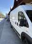 Fiat Ducato 130 L4H2 RS: 4035 mm Weiß - thumbnail 3