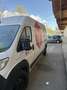 Fiat Ducato 130 L4H2 RS: 4035 mm Weiß - thumbnail 2