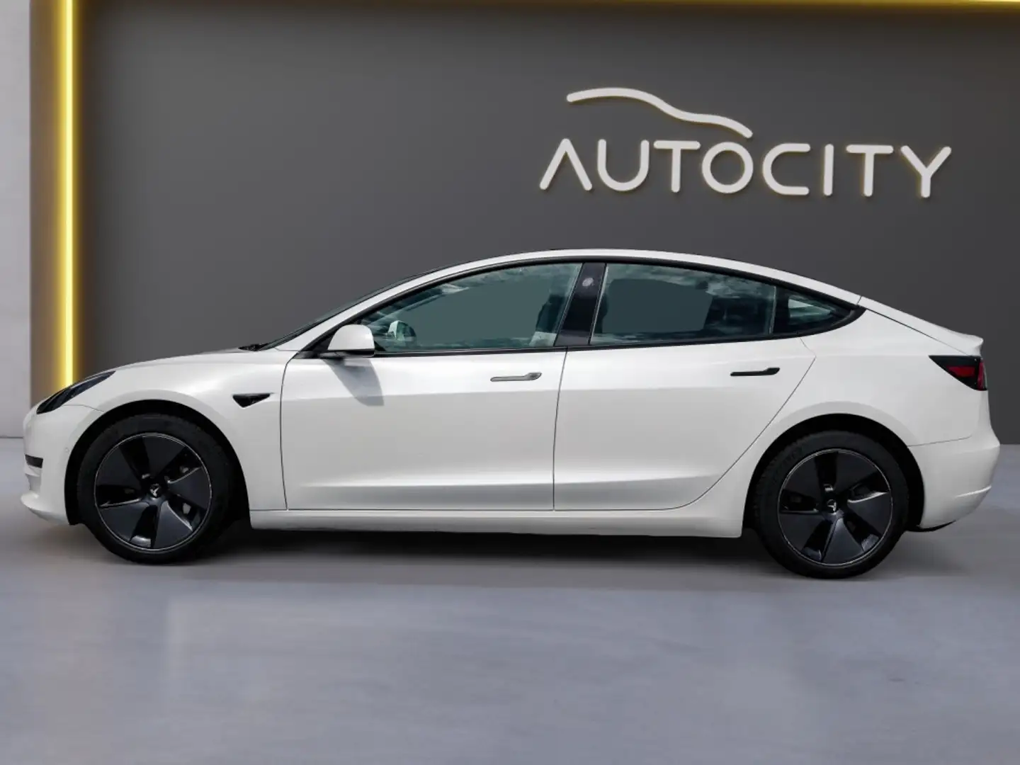 Tesla Model 3 Standard RWD Plus 60 kWh Autopilot l Panorama l Le Wit - 2