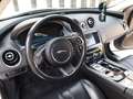 Jaguar XJ 3,0 Diesel Premium Luxury TSS Bílá - thumbnail 5