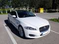 Jaguar XJ 3,0 Diesel Premium Luxury TSS Fehér - thumbnail 1