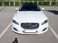 Jaguar XJ 3,0 Diesel Premium Luxury TSS Wit - thumbnail 3