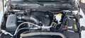 Dodge RAM REBEL 5.7 V8 OFFROAD Prins LPG Navi Bianco - thumbnail 27